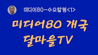 미디어80개국인사, 달마을, 5분칼럼, 시사평론, 미디어비평, 역사교육