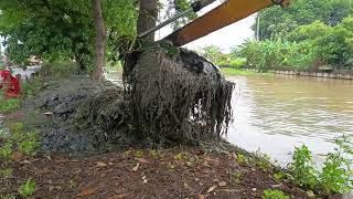 Download Lagu KDM Keruk Kalimalang yg sudah Jadi Kebon Rumput #dedimulyadi #kdm #kangdedimulyadi  MP3