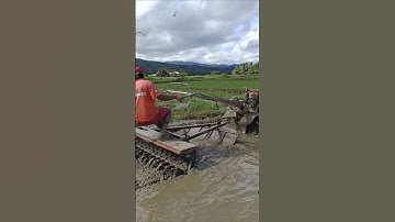 Plowing the rice field with Kubota hand tractor kuliglig