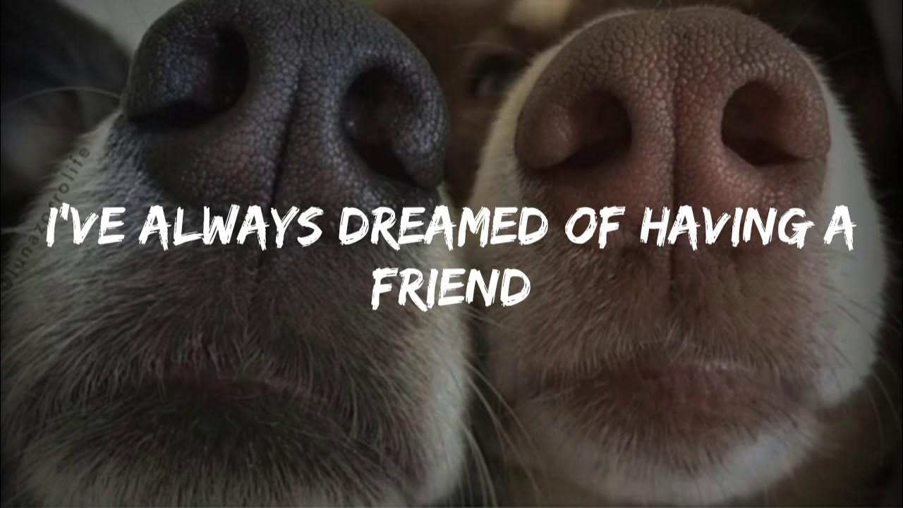 Chasing Butterflies Song For My Dog Lyrics A song for my dog// Leslie Mosier video lyrics - YouTube