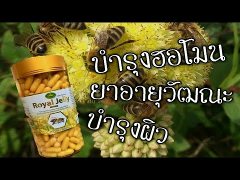 นมผึ้ง Royal Jelly วิตามิน มีประโยชน์อย่างไร