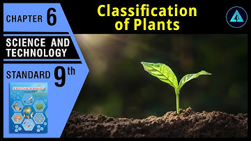 Classification of plants | Std 9 | Science | Ch.6 | Maharashtra State Board