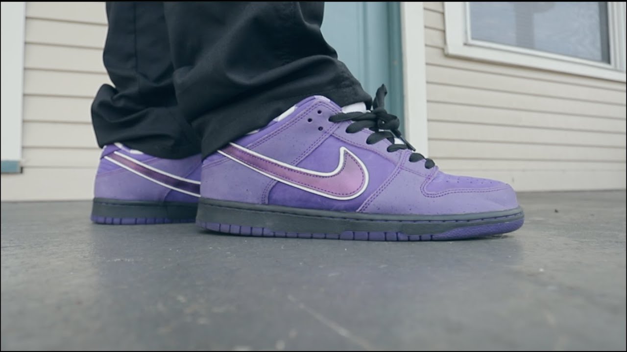 imagen precisamente Superficial NIKE SB PURPLE LOBSTER ON FEET 30 DAY SNEAKER CHALLENGE DAY 24 - YouTube