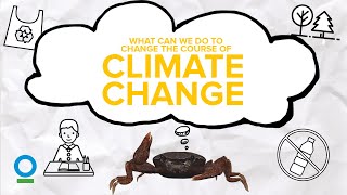 WHAT CAN WE DO TO CHANGE THE COURSE OF CLIMATE CHANGE? - Climate Change #5 | CI Singapore