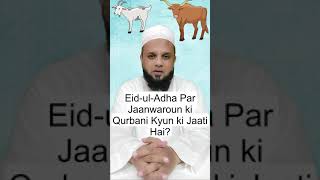 عیدالاضحیٰ پر جانوروں کی قربانی کیوں کیجاتی ہے؟Eid-ul-Adha Par Janwaron ki Qurbani Kyun ki Jaati Hai