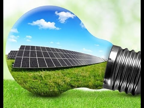 Energia Solar é aposta das Lojas Americanas