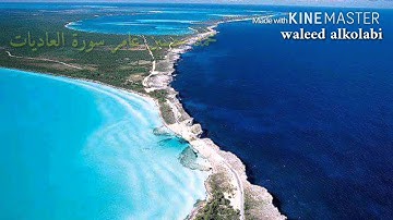 محمد حسين عامر سورة العاديات