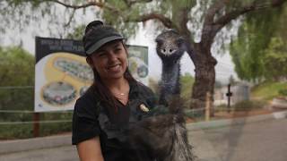 Moorpark College Exotic Animal Training Management