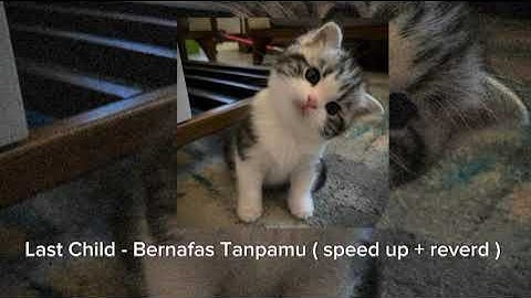 Last child - Bernafas Tanpamu ( speed up + reverb)