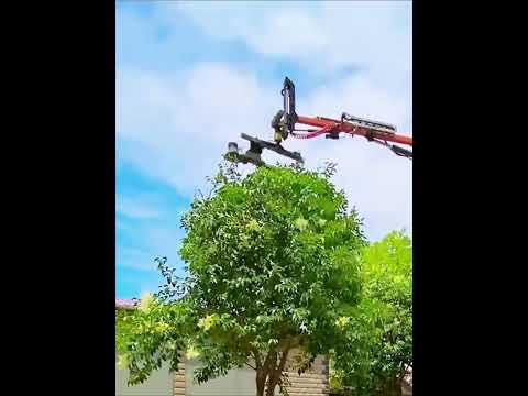 Video: Orezivanje grmova: tehnika, vrijeme, alati. Formiranje krune grmlja