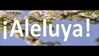 ALELUYA | Vers. Grupo Coral - Acústico | Aleluya Liturgico | Divina Misericordia TV