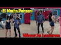 -El Macho Panzón-🍻Dayana Se Lucio Con Esta Interpretación-