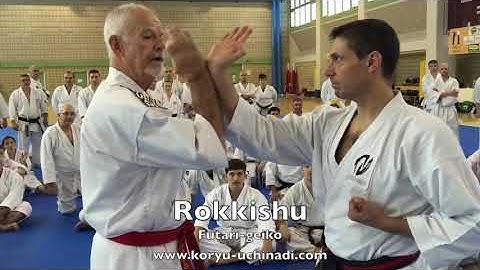 Shihan McCarthy  |  The Sophistication of Kata