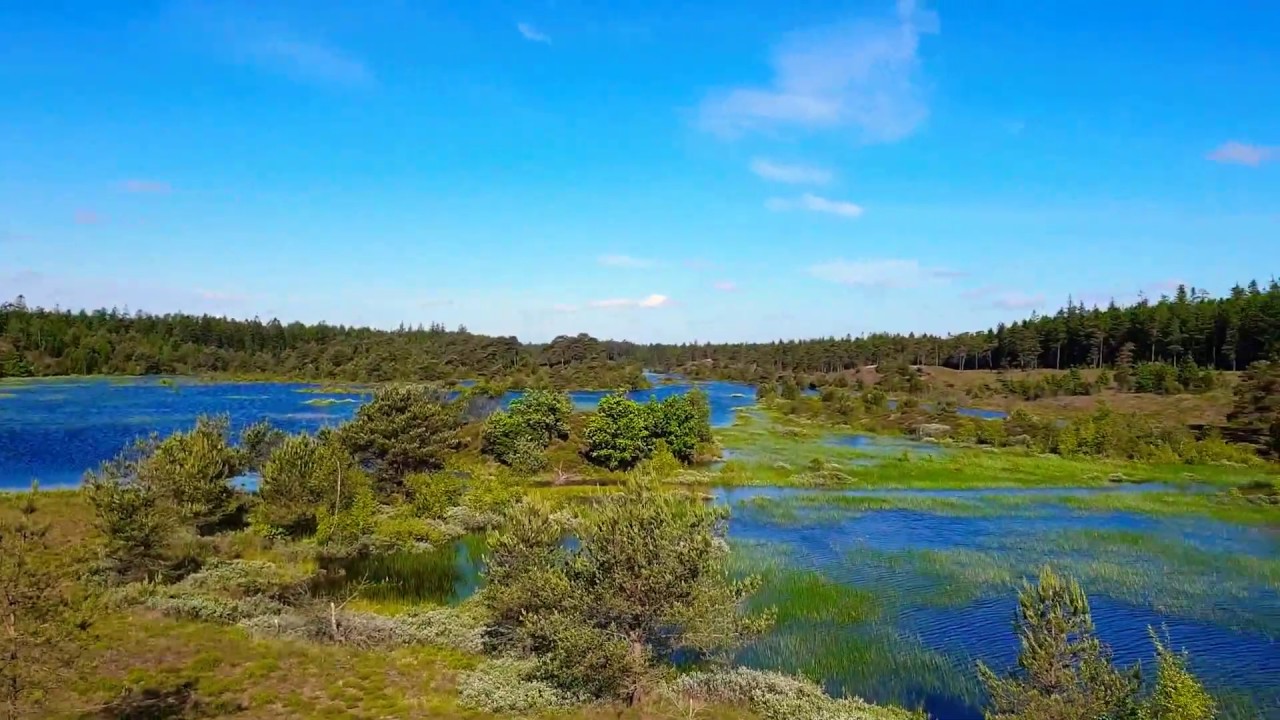 Miracle of Nature #syvårssøerne #lovenature - YouTube