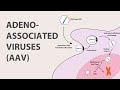 1) Adeno Associated Virus (AAV) - An Introduction