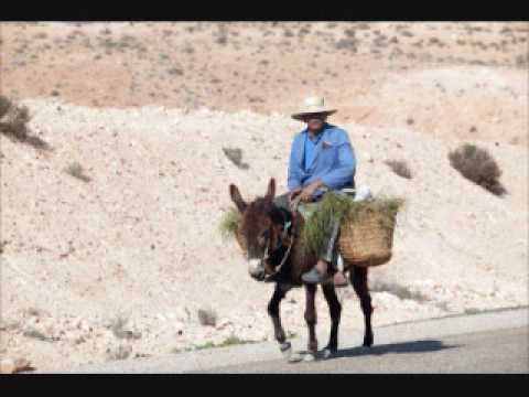 donkey riding by great big sea