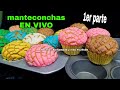 Manteconchas Paso A Paso En Vivo