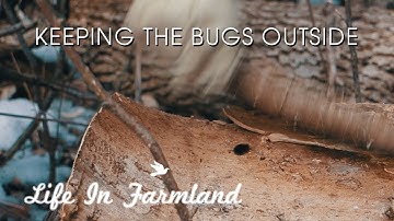 Tips On Keeping Bugs Out Of Your Firewood - WHW - EP:19