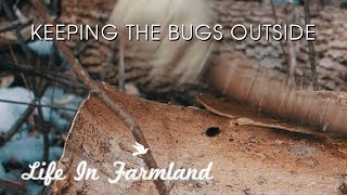 Tips On Keeping Bugs Out Of Your Firewood - WHW - EP:19