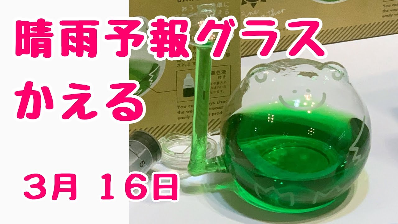 Weather forecast glasses featuring an adorable frog - March 16
