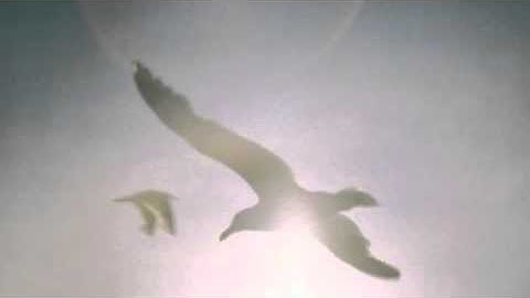 MASSIMO MIKELLI: IRENE FLORENTINE INTERIOR TAPE