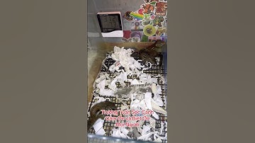 Cảm Ơn và Biết Ơn Mọi Người - Trương Tuấn Sóc Cảnh