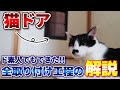 初心者でもできる猫ドアの取り付け方