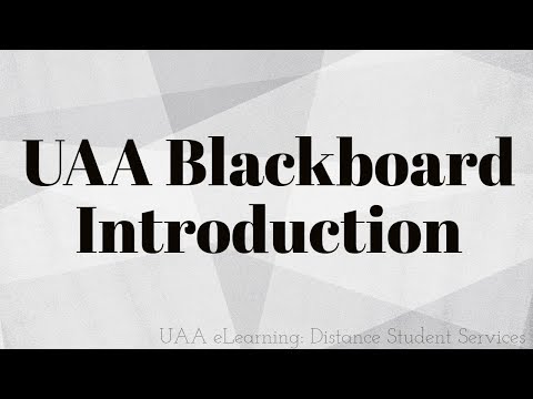 Blackboard Login & Overview