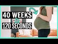 PREGNANT BELLY WEEK-BY-WEEK TRANSFORMATION 🤰 40 Weeks in 120 Seconds Pregnancy Progression
