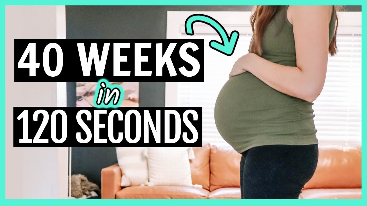 Pregnant Belly Week By Week Transformation 🤰 40 Weeks In 120 Seconds
