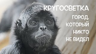 КРУГОСВЕТКА // ДЕНЬ 108 / ВОРОТА В ДЖУНГЛИ АМАЗОНКИ - ПУЭРТО МАЛДОНАДО, ПЕРУ