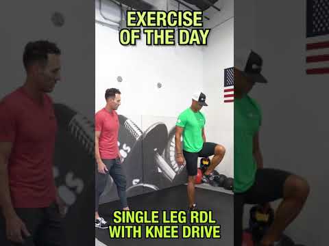 Dylan King Fitness