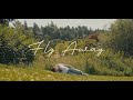 Fly Away- Erika Martinez (Official Music Video)