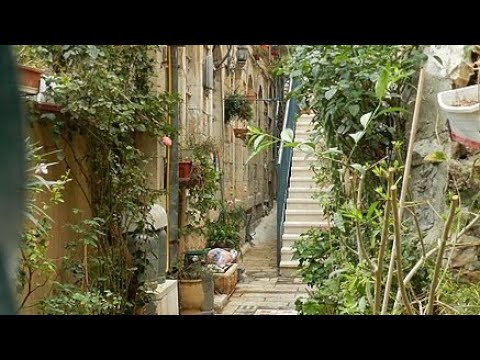      2024 حي المصرارة في مدينة القدس