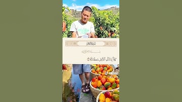 احترم القرآن يا صديقي وانشره فالدال على الخير كفاعله #احترم_القرآن #احترم #آيات #انشرو_القران #لايك