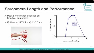 Sarcomere Length and Performance