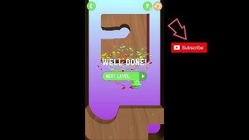 Dig This! 04-05 TOTALLY NUTS INSANE CHAPTER Walkthrough Solution