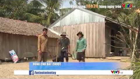 Dùng chó bắt chuột đồng