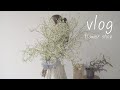 ENG / flower shop vlog | #2 꽃집의 발렌타인데이준비하기