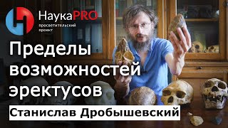 Пределы социальной организации эректусов - Станислав Дробышевский | Лекции по антропологии | Научпоп