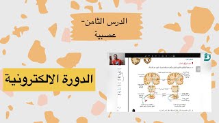 علوم بكالوريا المنهاج السوري الدرس الثامن عصبية علوم بكالوريا سورية وظائف الجهاز العصبي المركزي ٢