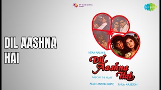 Dil Aashna Hai  |  Dil Aashna Hai  |  Sadhana Sargam  |  Suresh Wadkar Songs  |  Shah Rukh Khan