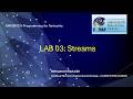 Lab03 Java Streams