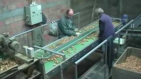 AllroundVP Onion Topping and Grading Line