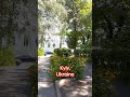 ТЕРЕЩЕНКІВСЬКА БІЛЯ ХРЕЩАТИКА КИЇВ УКРАЇНА TERESCHENKIVSKA STREET KYIV UKRAINE JULY 30C ТЕРЕЩЕНКІВСЬКА БІЛЯ ХРЕЩАТИКА КИЇВ УКРАЇНА TERESCHENKIVSKA STREET KYIV UKRAINE JULY 30C