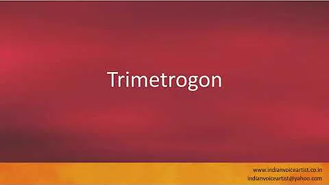 Pronunciation of the word(s) "Trimetrogon".