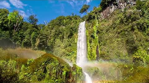 سورة التوبة بصوت القارئ يحيى عيشان