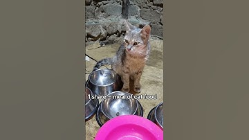 For Any Support Click Our Link In Bio To Help.All Pledges You Make To Support Are Appreciated!❤️