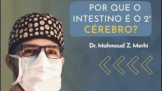 Mahmoud Zafer Merhi-21