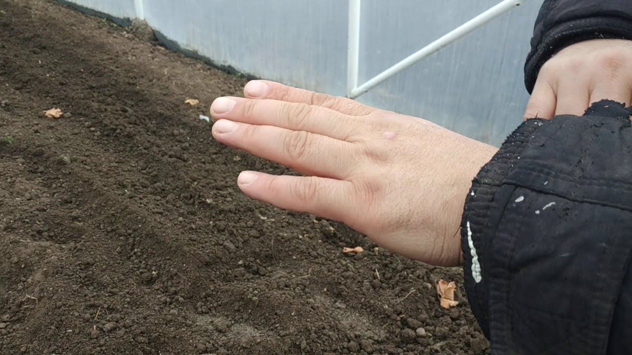 удачная модель теплицы. обзор - YouTube